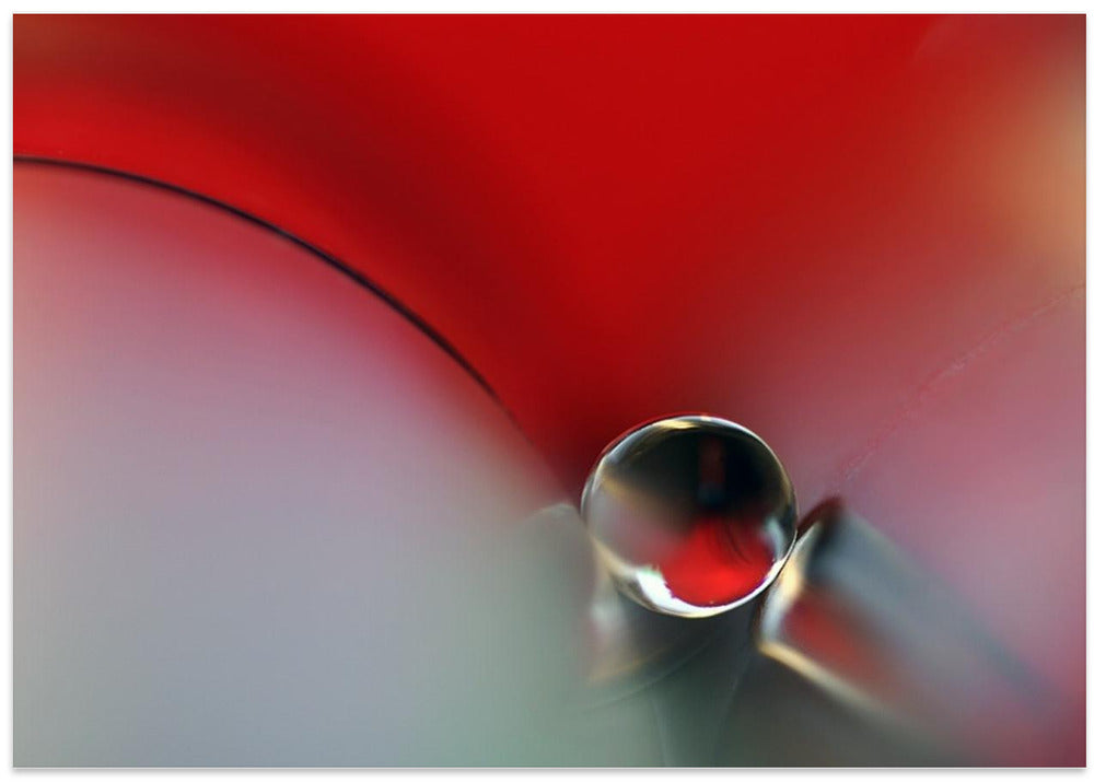 Art Prints of Between