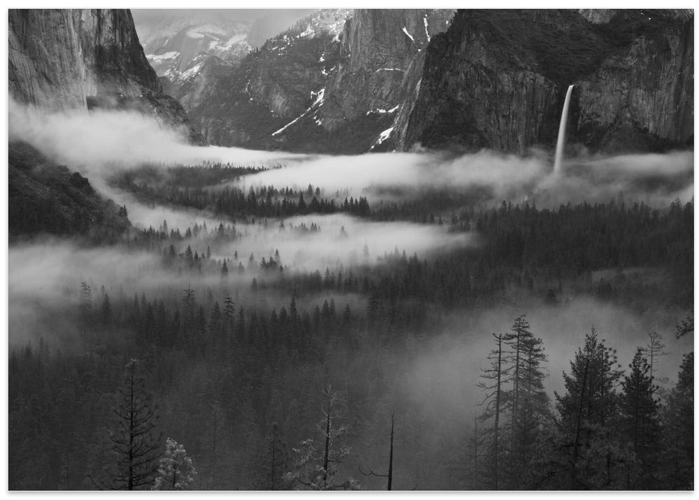 Fog Floating In Yosemite Valley