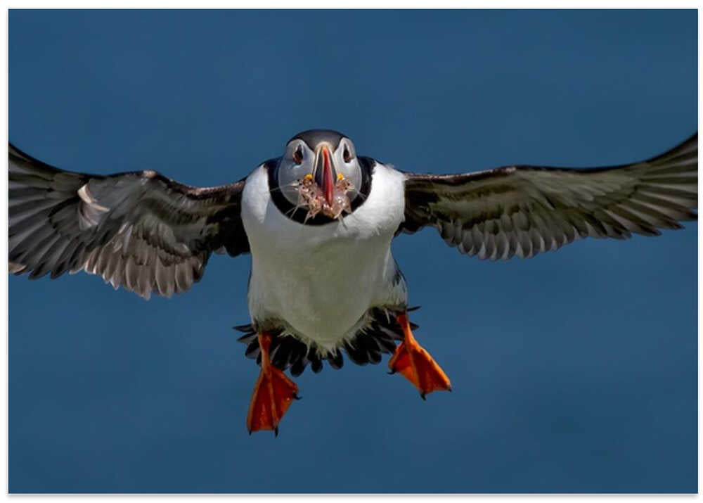 Successful fishing trip !!