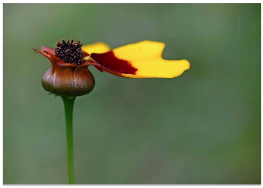 the last ones before winter ...