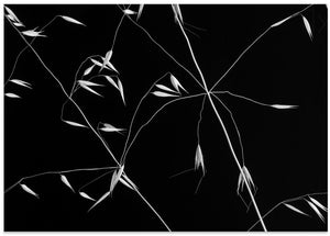 Art Prints of Crossed Lines