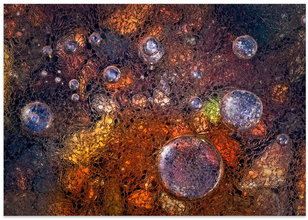 Art Prints of Winter Over Autumn