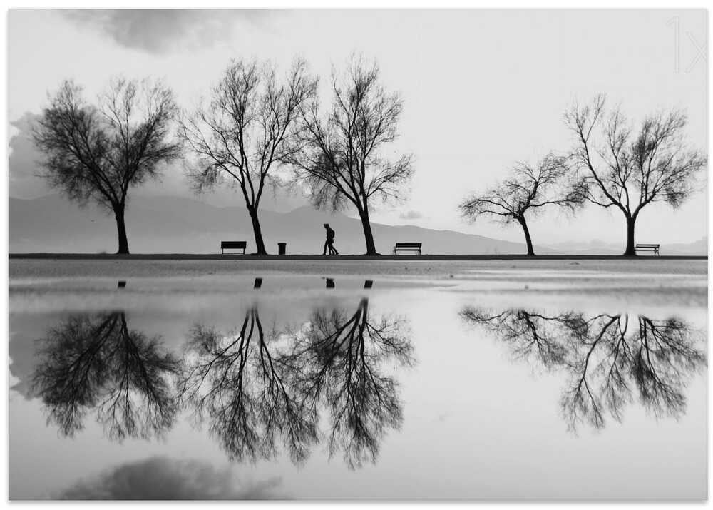 Karşıyaka'dan Bir Yansıma