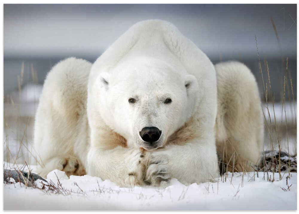 Now that you wake me up is better for you to start running