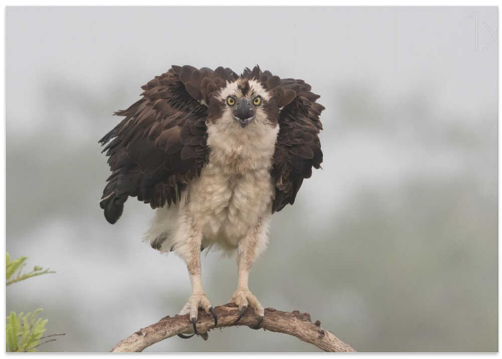 Nervous to fly today !!!!