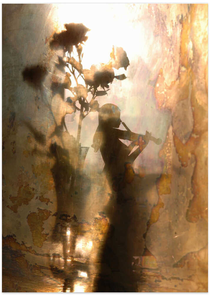 Music of light and shadow