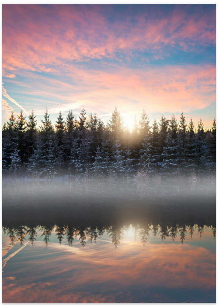Small lake in the forest