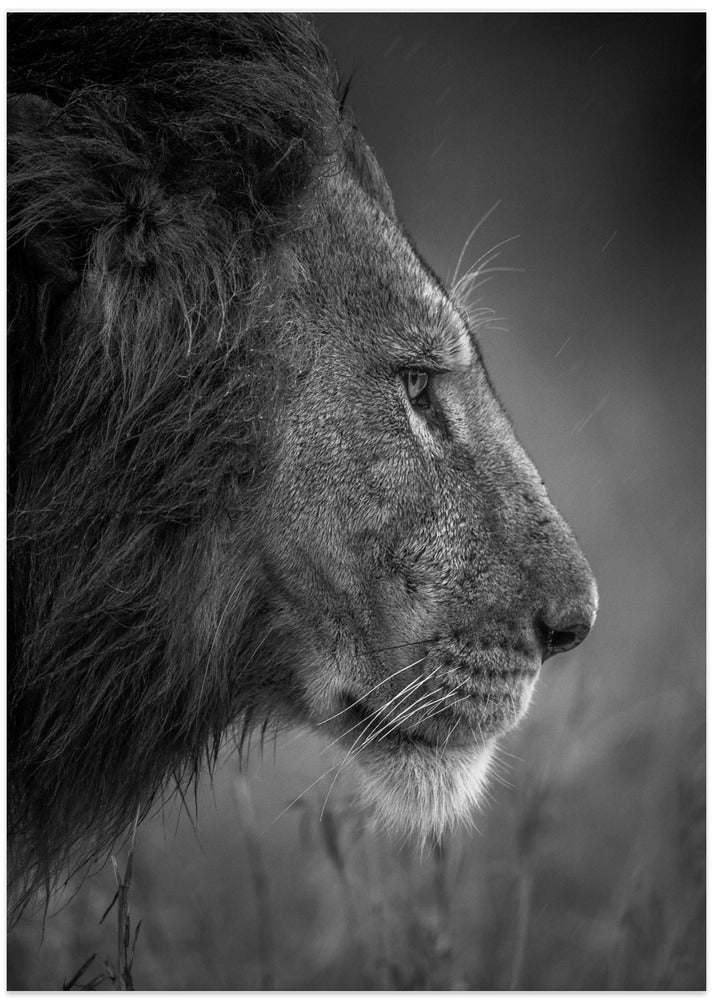 Thinking Under The Rain