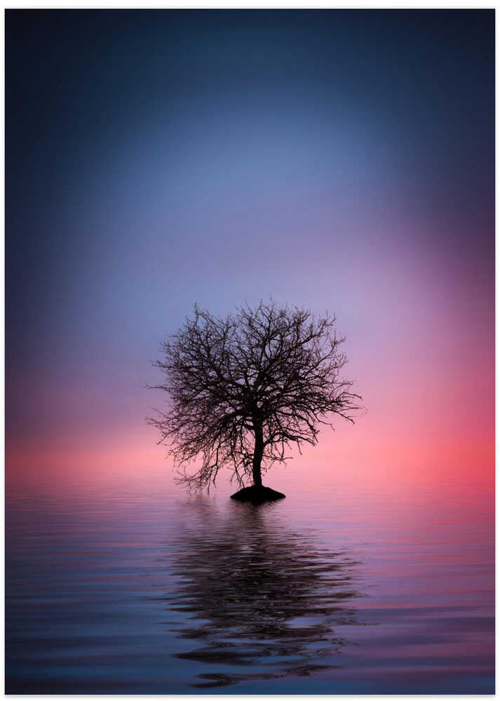 Lone tree
