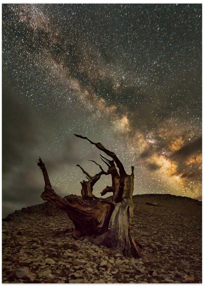 Milky Way comes to White Mountain