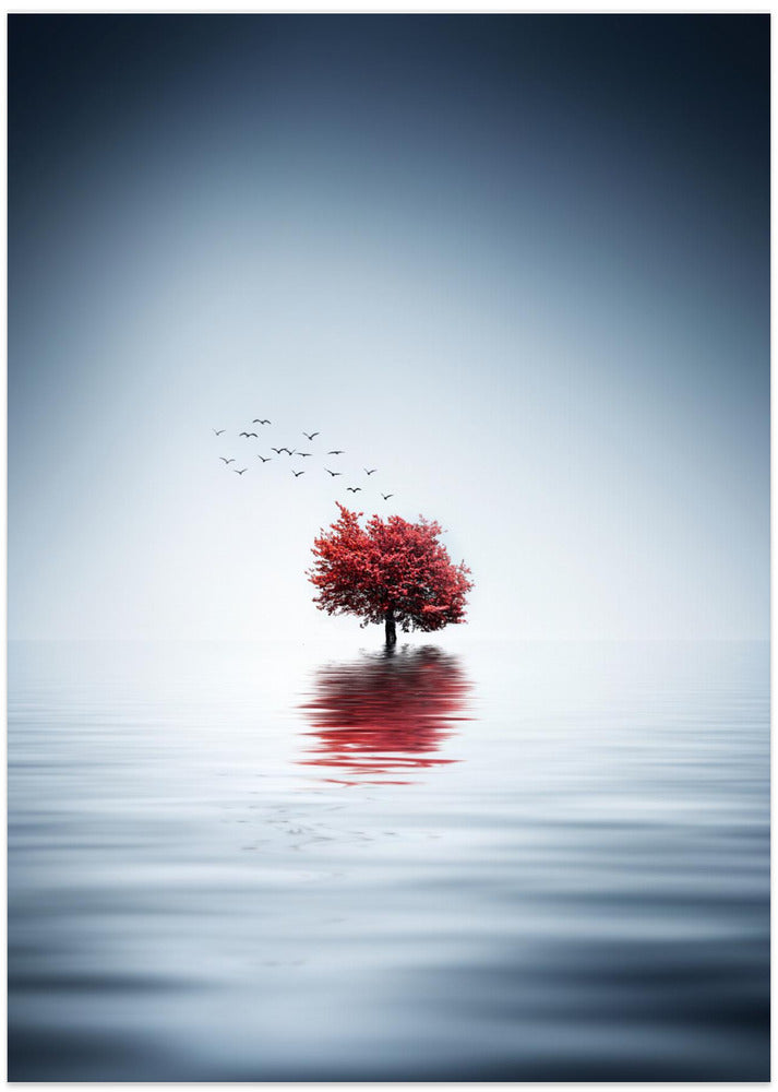 Autumn trees reflected blue lake