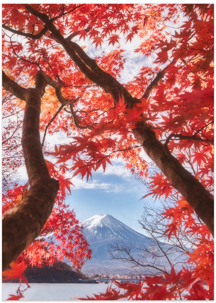 Mt.fuji is in the autumn leaves