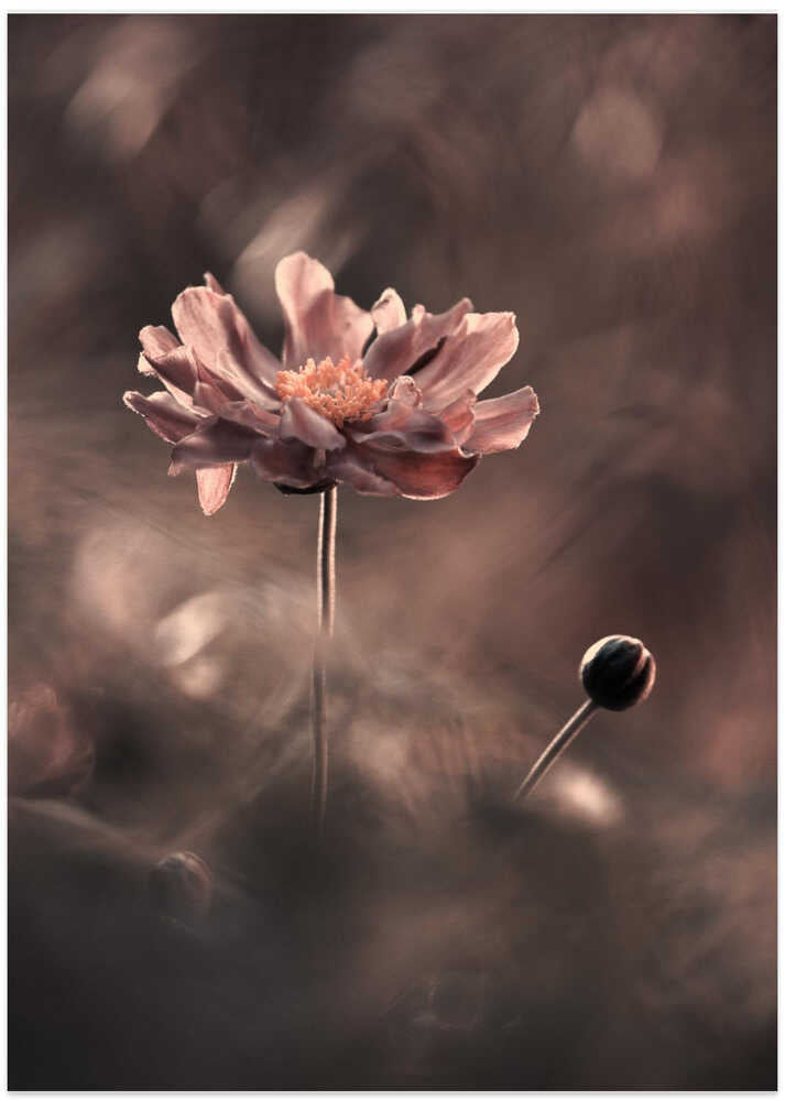 Un présent et un futur révolus. Un passé présent