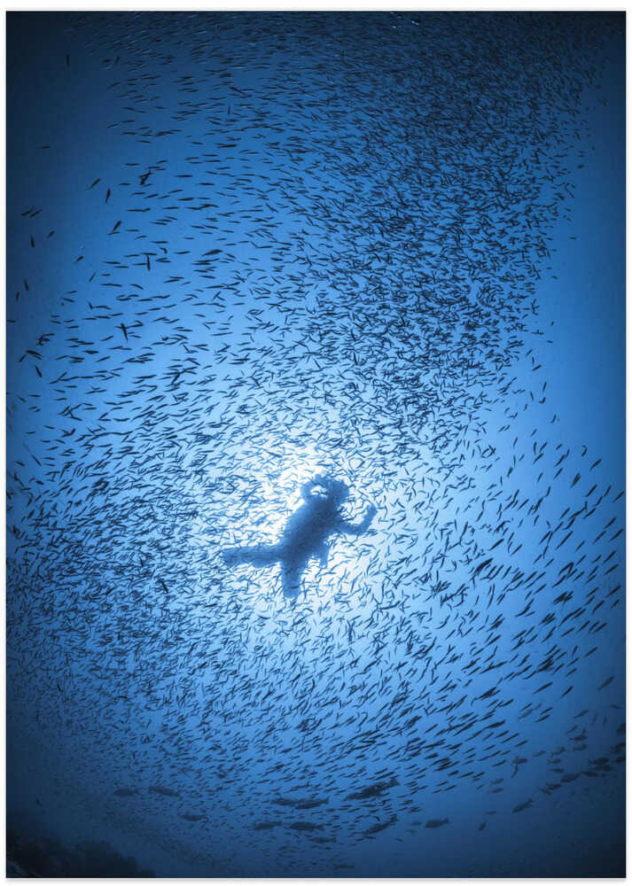 Diver and shoal of fish