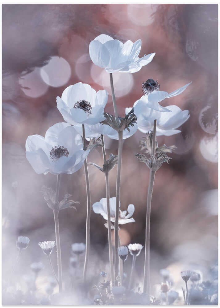 All the flowers of all the tomorrows are in the seeds of today