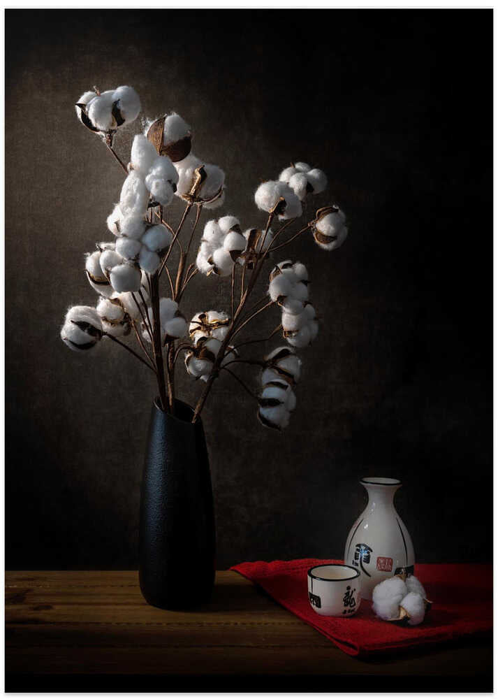 Cotton flowers