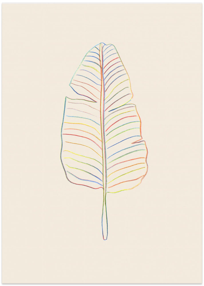 Banana Rainbow Leaf