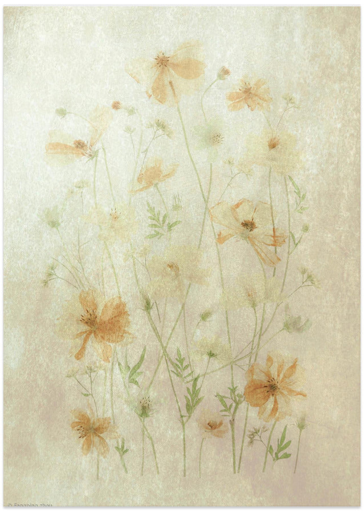 Yellow Cosmos