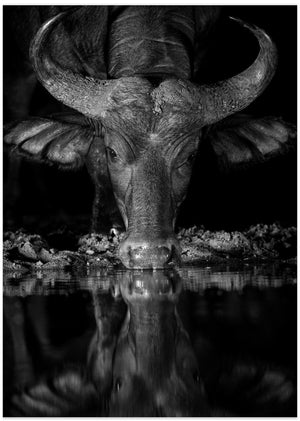 Art Prints of CONCENTRATION