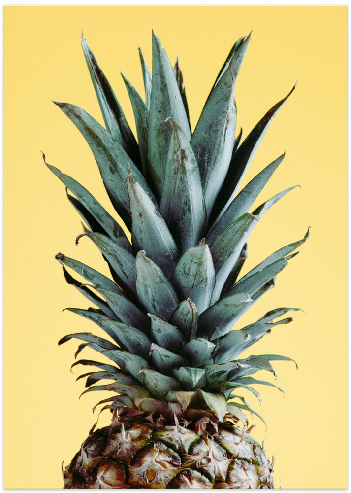 Pineapple Yellow 01