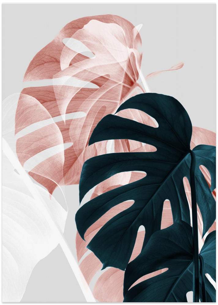 Monstera Creative 09