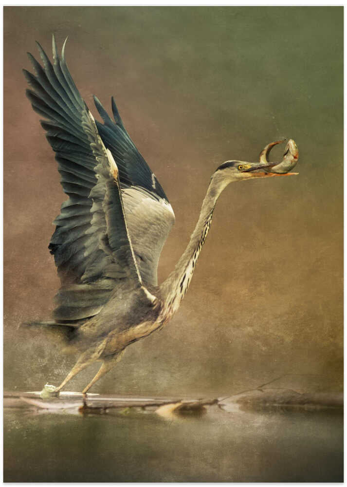 Take away fresh food