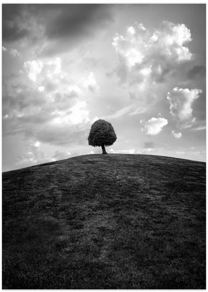 Lonely tree BW