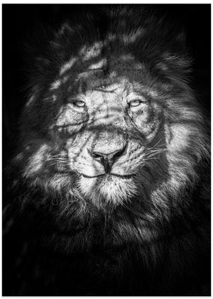 Art Prints of Being watched