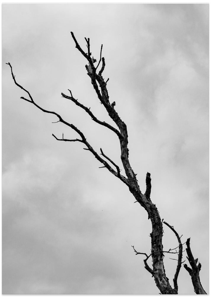 I'm not leaving without a fight