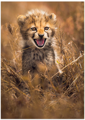 Art Prints of Big Smile