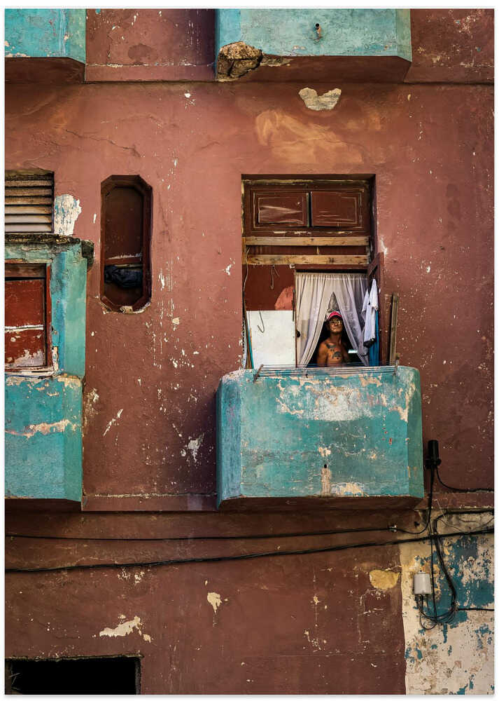 Looking out the window