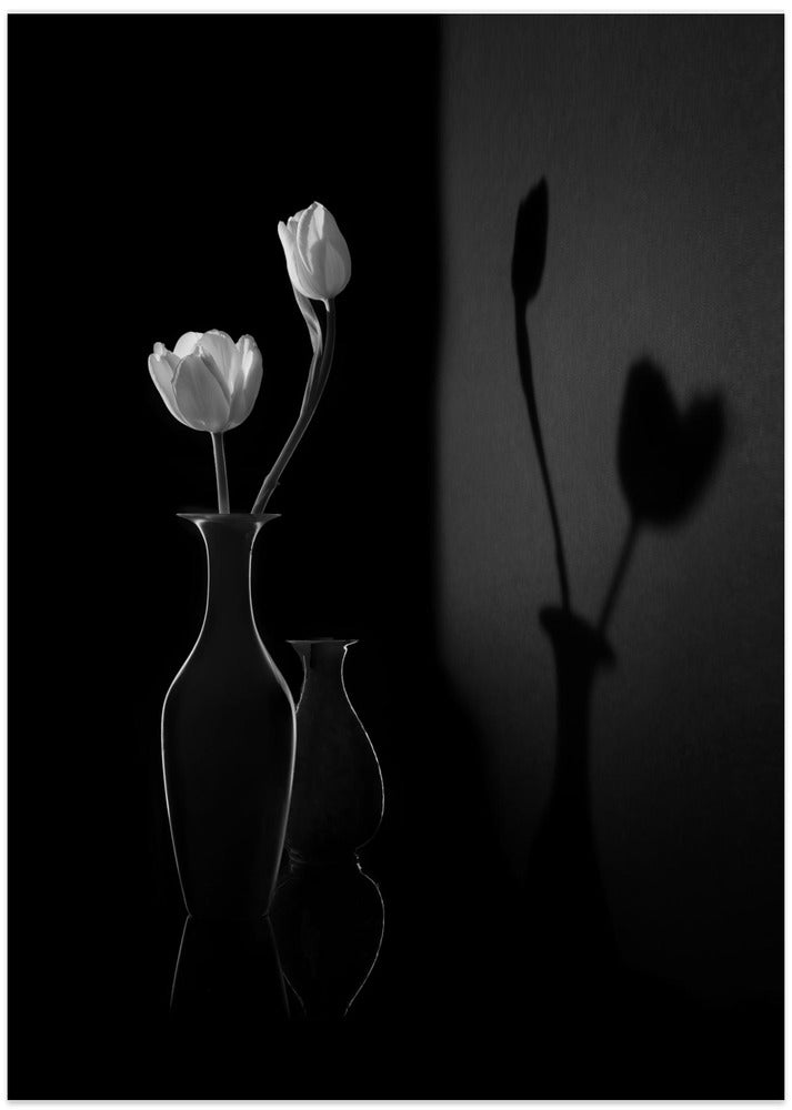 The Shadow of Spring