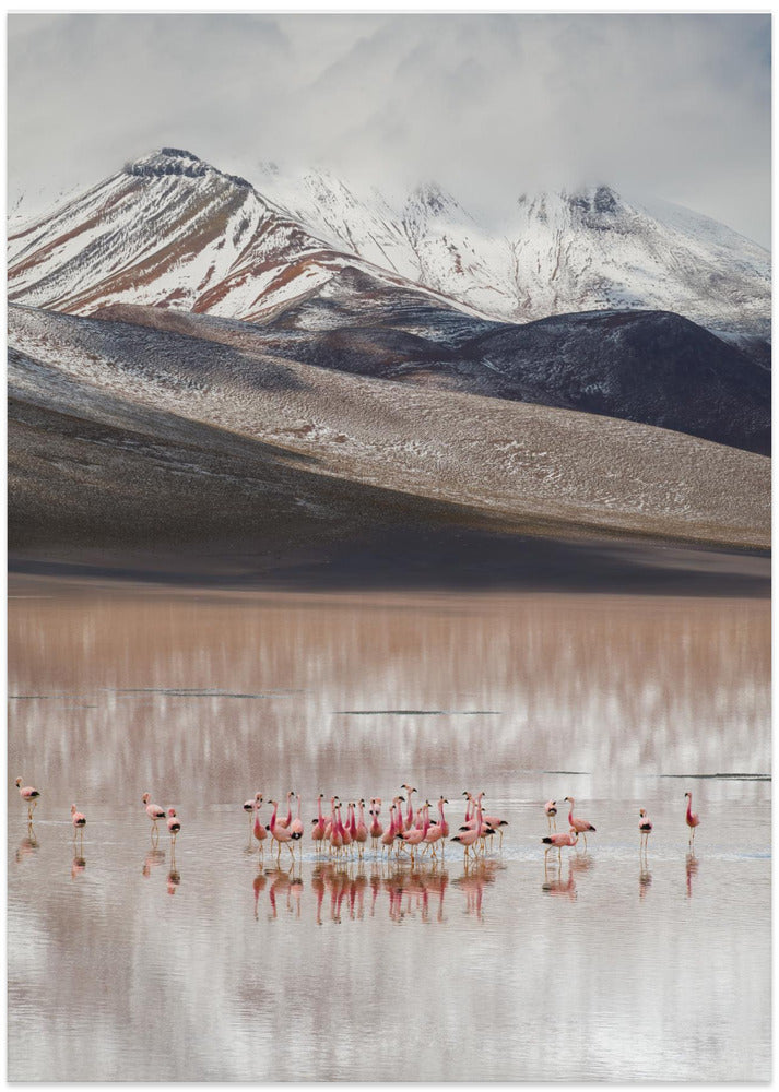 mountain view (Bolivia)