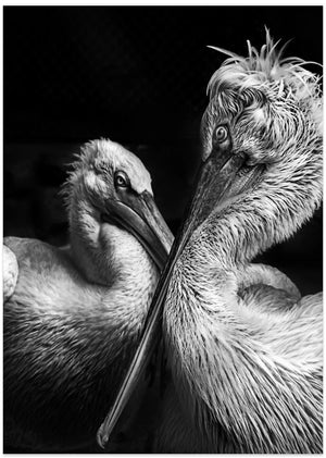 Art Prints of Crisscross