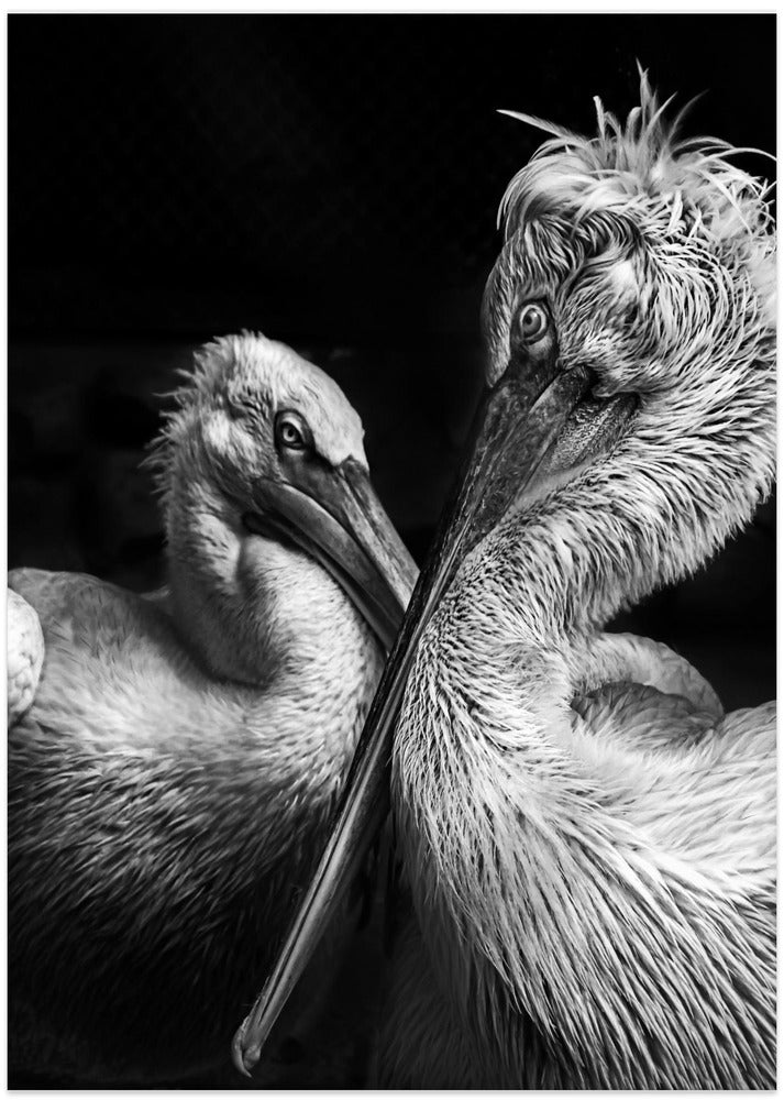 Art Prints of Crisscross