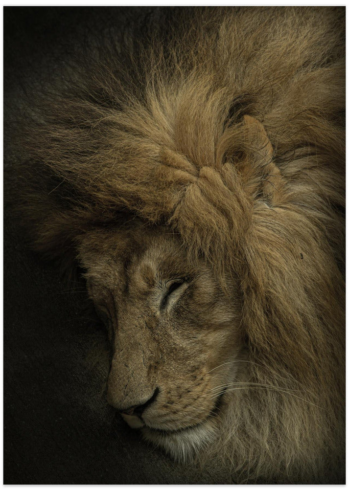 Art Prints of Healing Heart