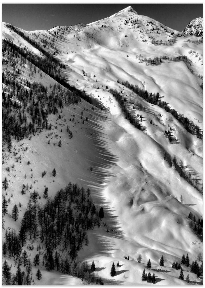 Low winter sun shadows 2