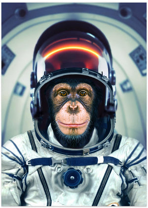Art Prints of AstroMonkey
