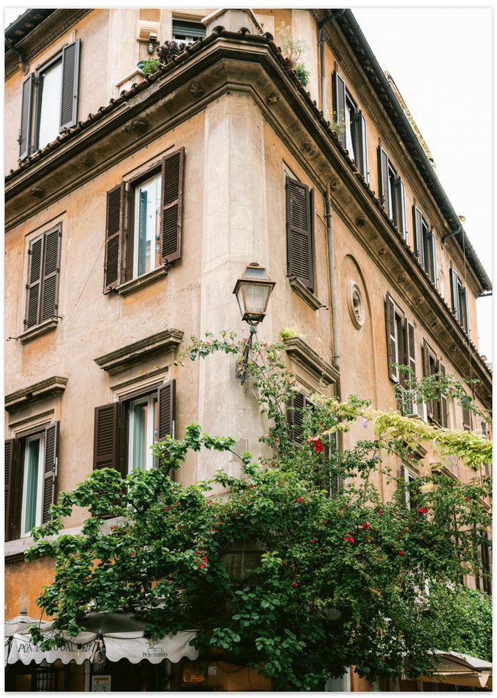 Botanical Trastevere Rome ||