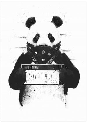 Canvas Art Print Bad panda