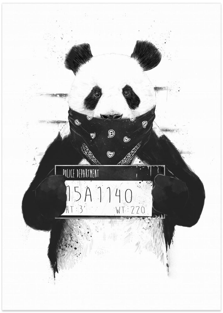 Canvas Art Print Bad panda