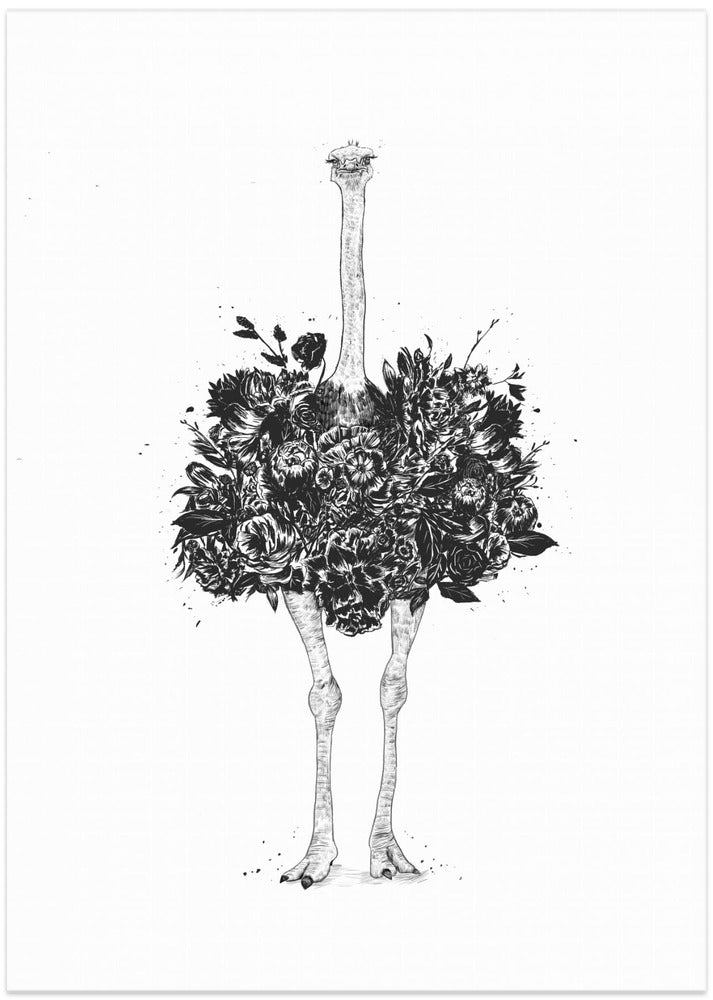Floral ostrich