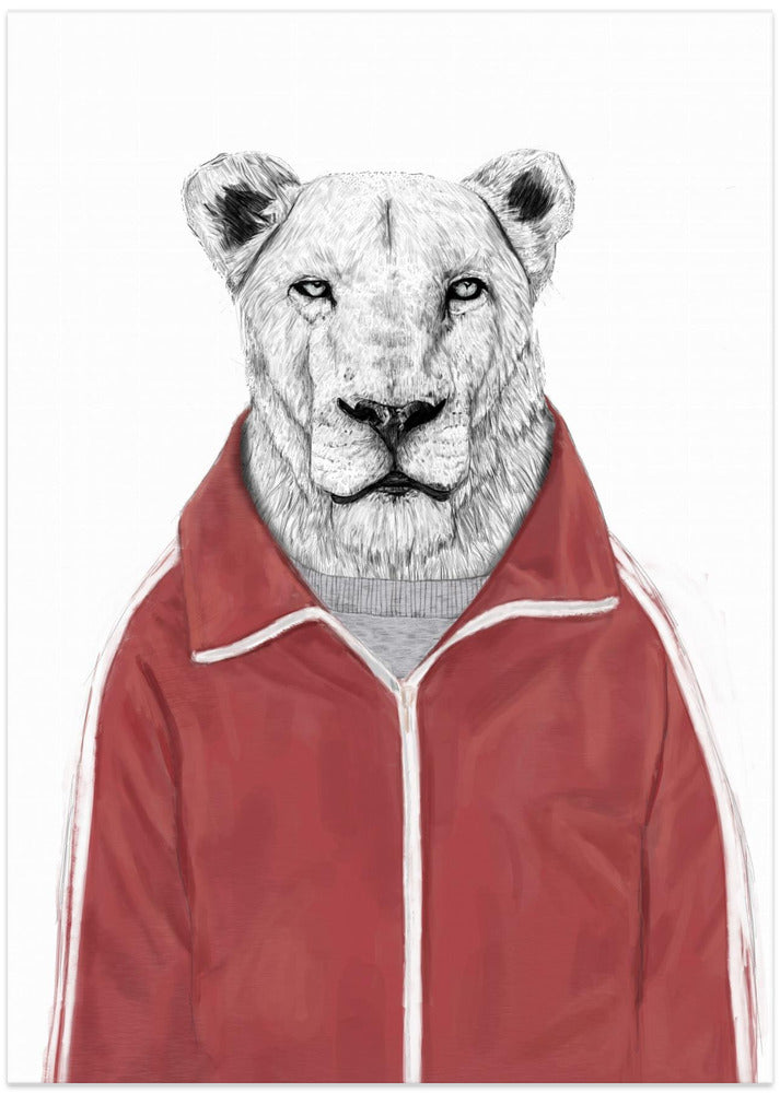 Sporty Lion