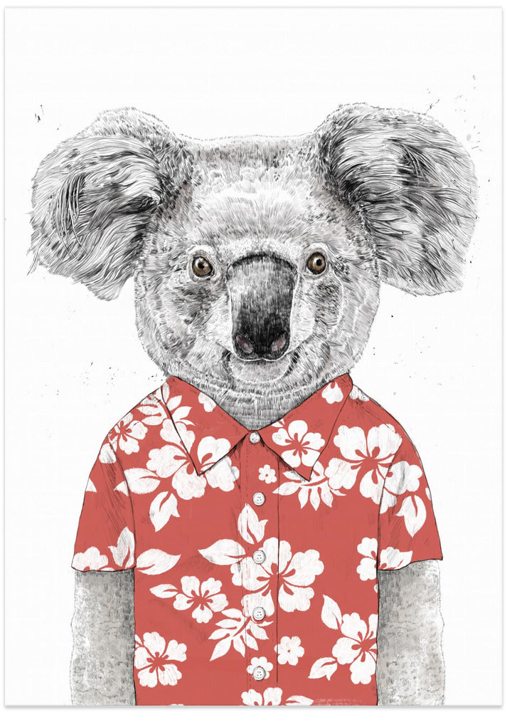 Summer koala (red)