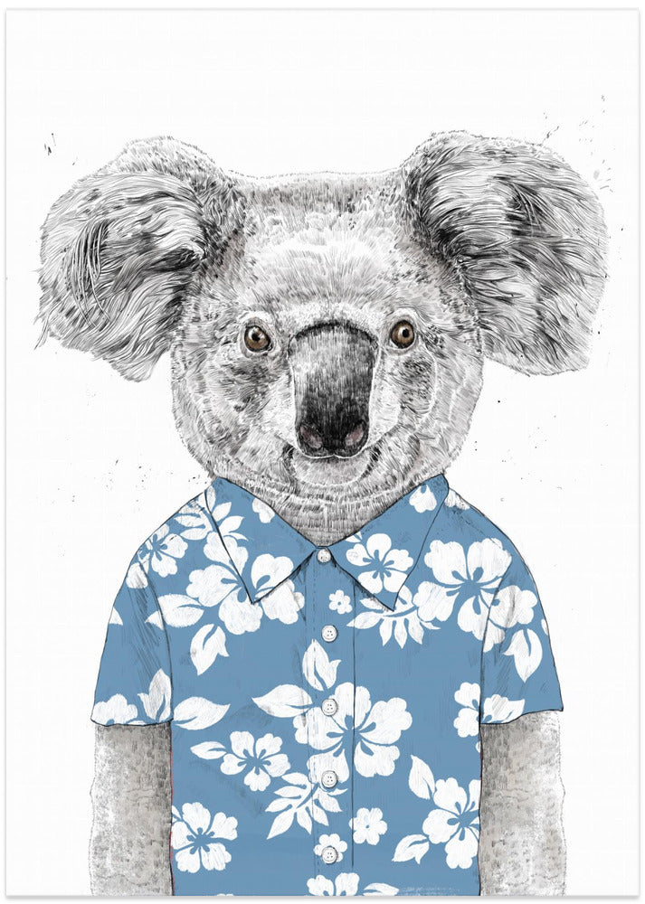 Summer Koala (blue)