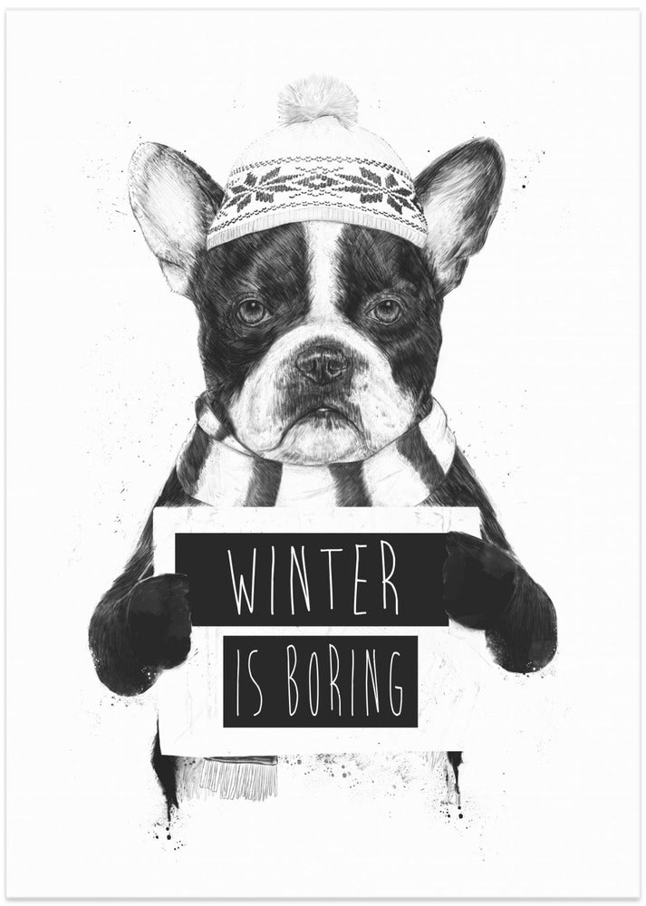 Winter is boring