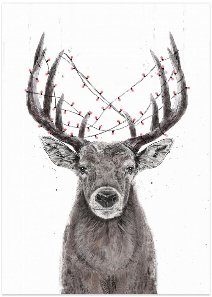 Xmas deer