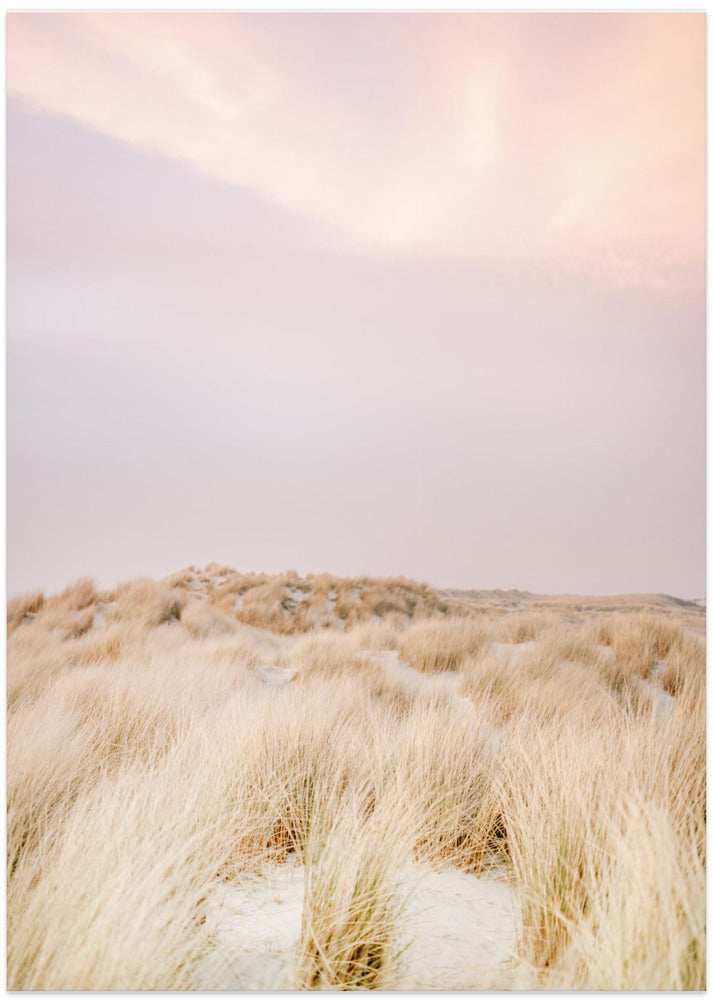 Ameland Dunes 2