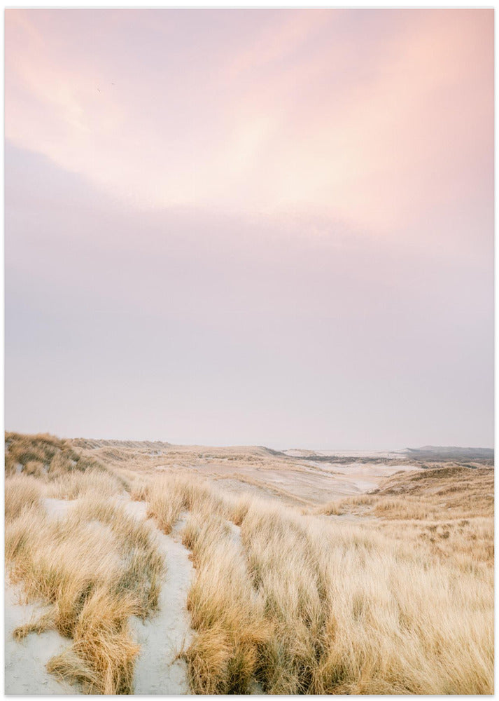 Ameland Dunes 1