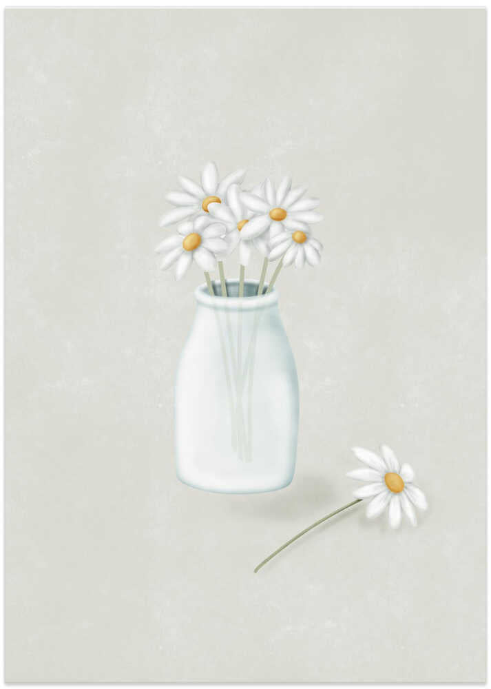 Daisy Flowers